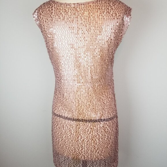 Vintage Rose Pink Sheer Shimmer Sheath Dress * Ladies Size Small - Picture 5 of 6